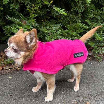 Tiny Toastie Water Repellent Fleece Dog Coat by My Chi and Me Hot Pink