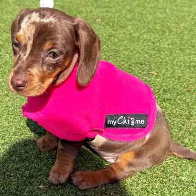 Tiny Toastie Water Repellent Fleece Dog Coat by My Chi and Me Hot Pink