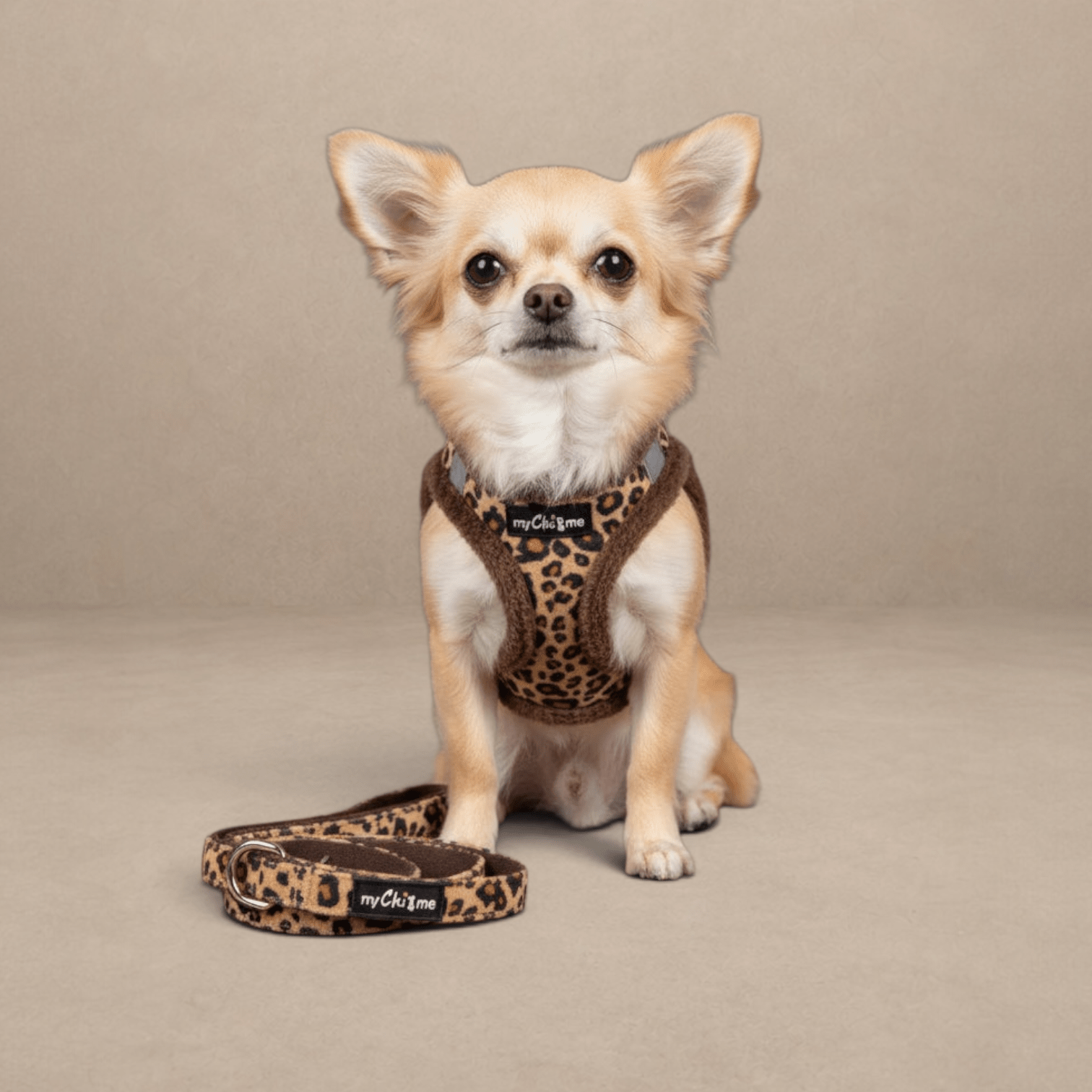 Tiny Trails Luxury Leopard Lead