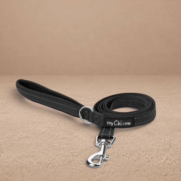 Tiny Trails Reflective 15mm Webbing Lead with Neoprene Handle Lining Black
