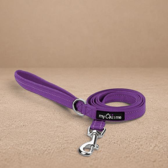 Tiny Trails Reflective 15mm Webbing Lead with Neoprene Handle Lining Purple
