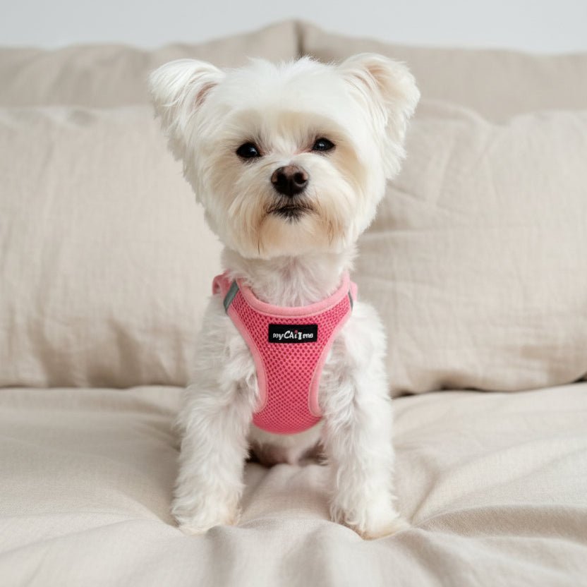 Tiny Trails Step In Air Mesh Puppy and Small Dog Harness Pink
