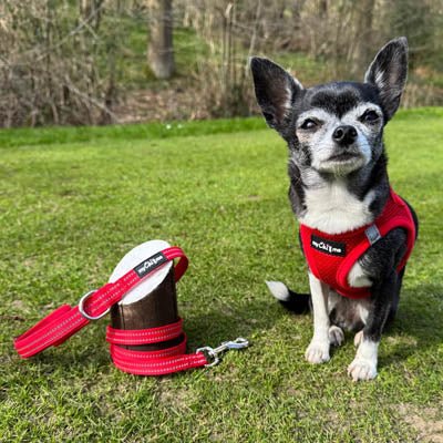 Tiny Trails Step In Air Mesh Puppy and Small Dog Harness Red
