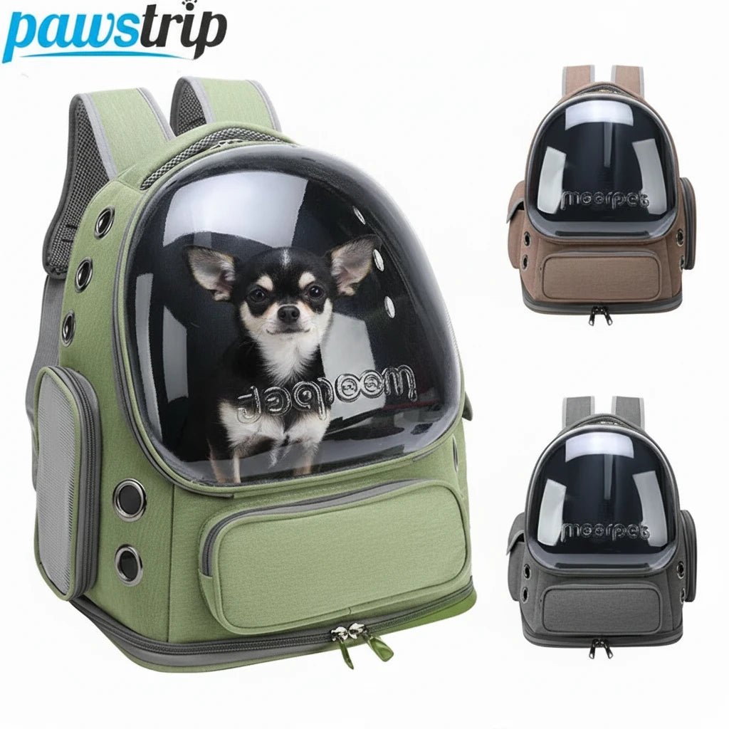 Transparent Pet Cat Carrier Bag Outdoor Travel Backpack for Cats Small Dogs Breathable Cat Carrying Bag Pet Supplies