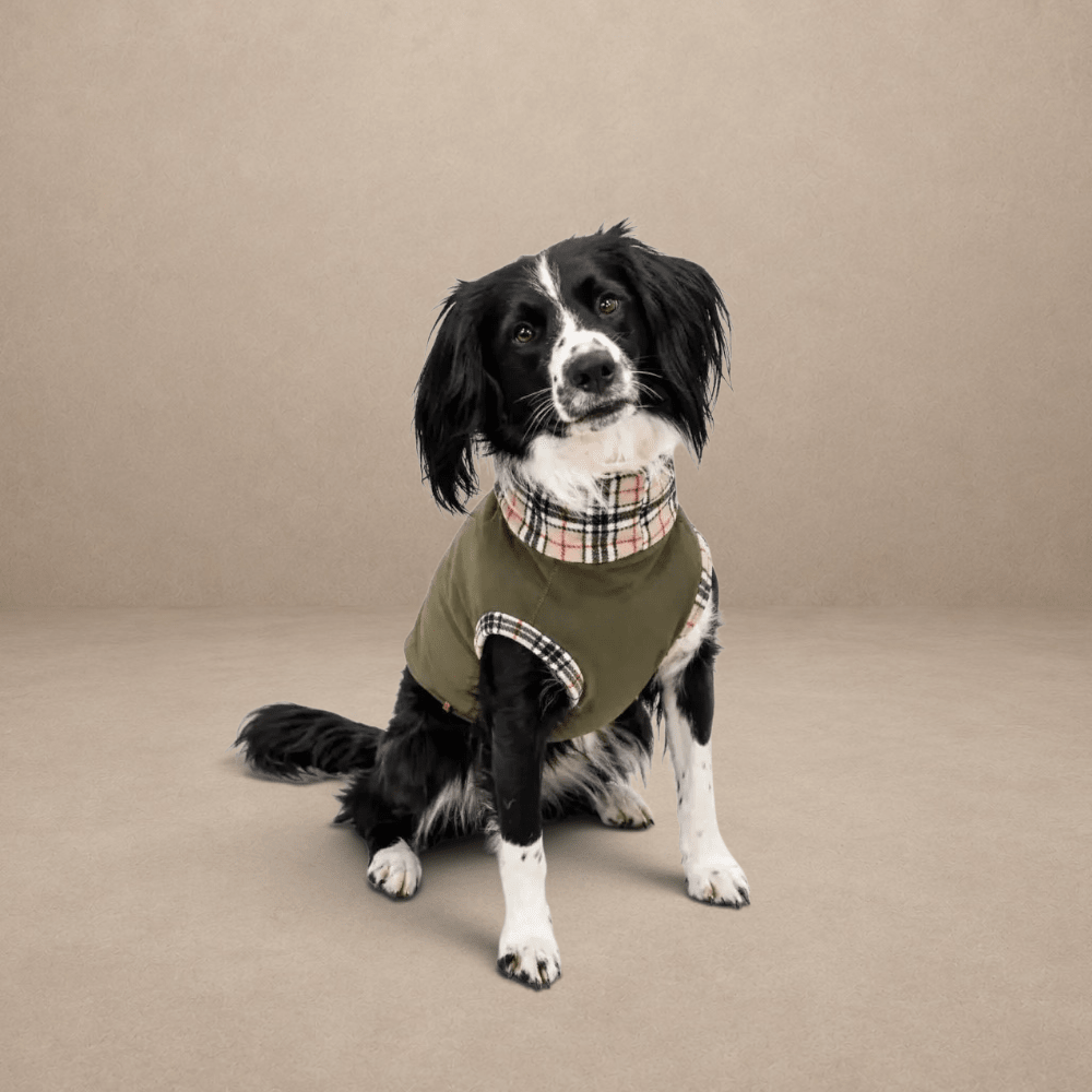 Waterproof Rainfleece Dog Coat - Standard Sizes, Ready Made
