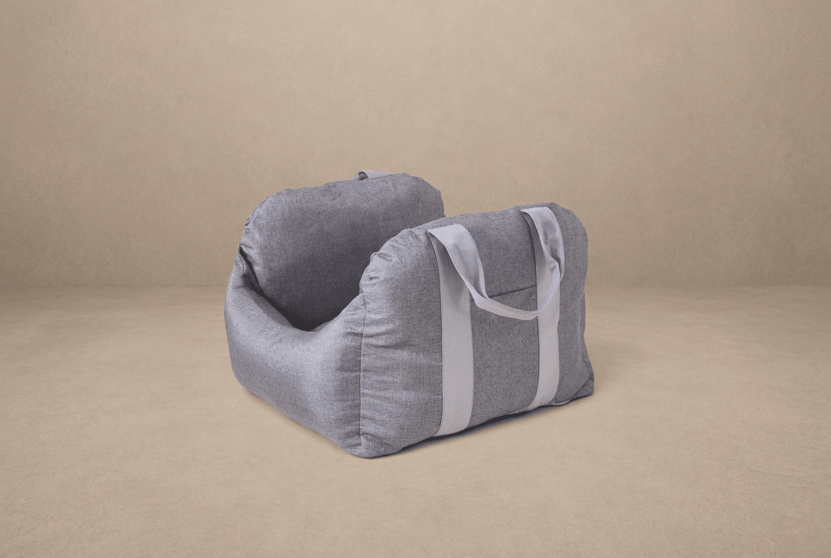 A More Considered Way to Travel With Your Dog - Dog Couture