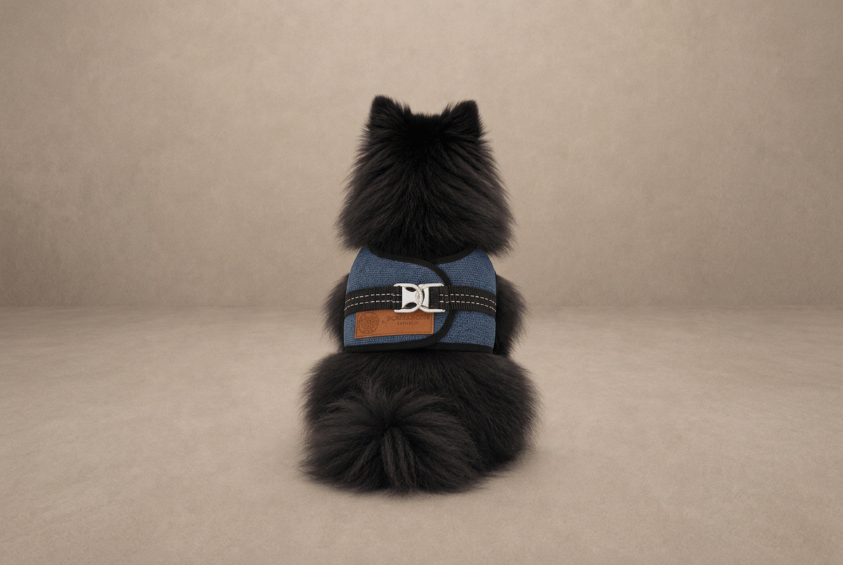 Deep navy Mayfair dog harness by Soho Poms and Bowl & Bone Republic.