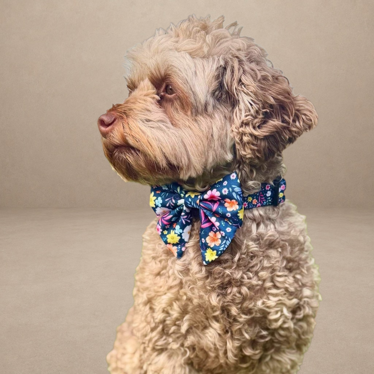 Dog Sailor Bow -  Summer Meadow