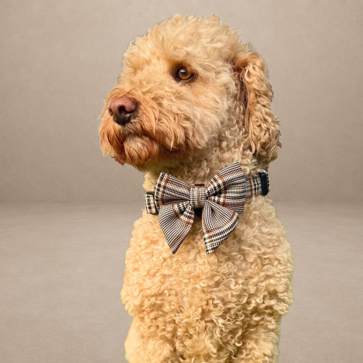 Dog Sailor Bow - Foxbury Plaid