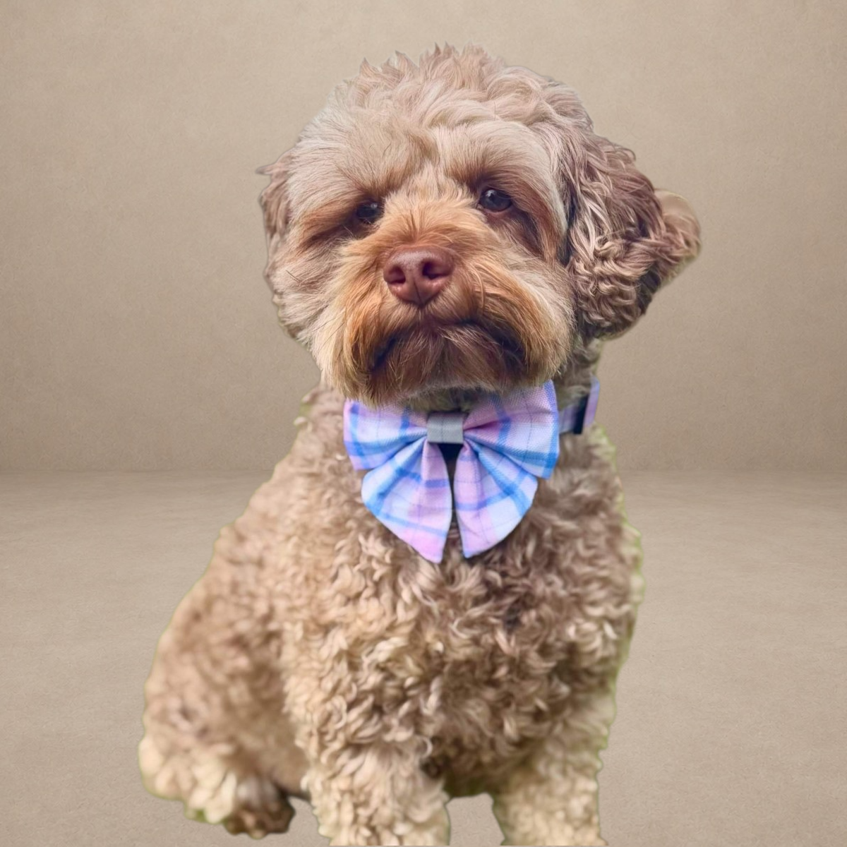 Dog Sailor Bow -  Pink Tartan