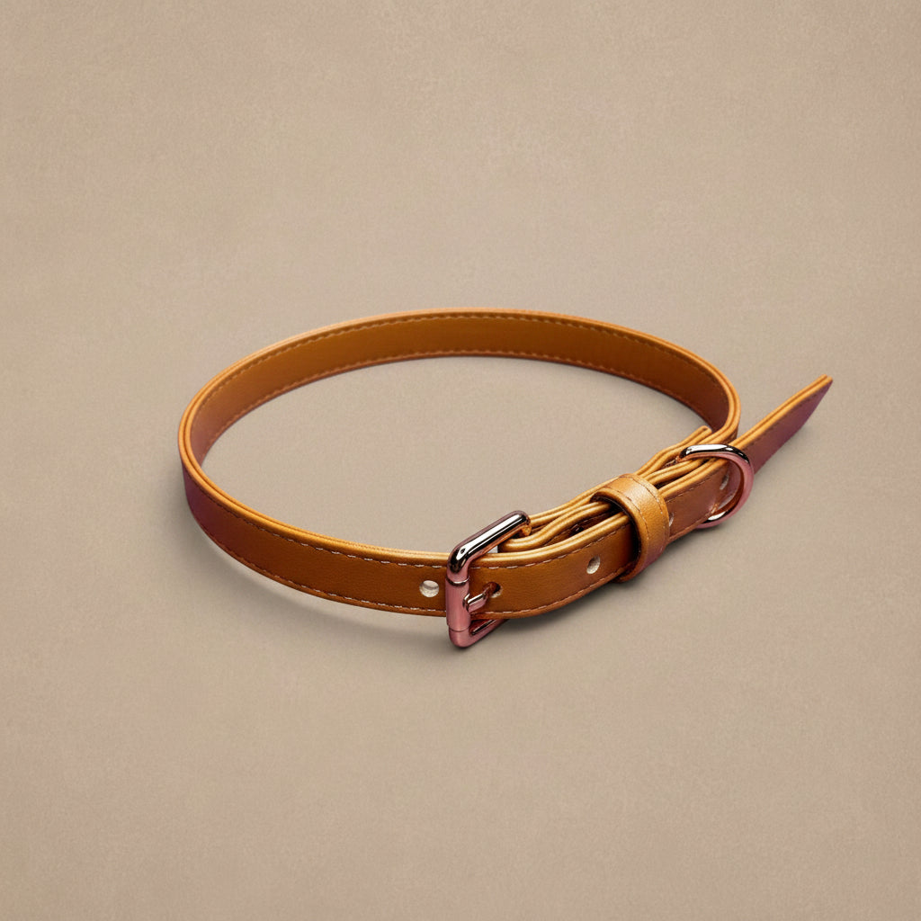 Alfresco Pup vegan leather dog collar - camel colour buckle dog collar