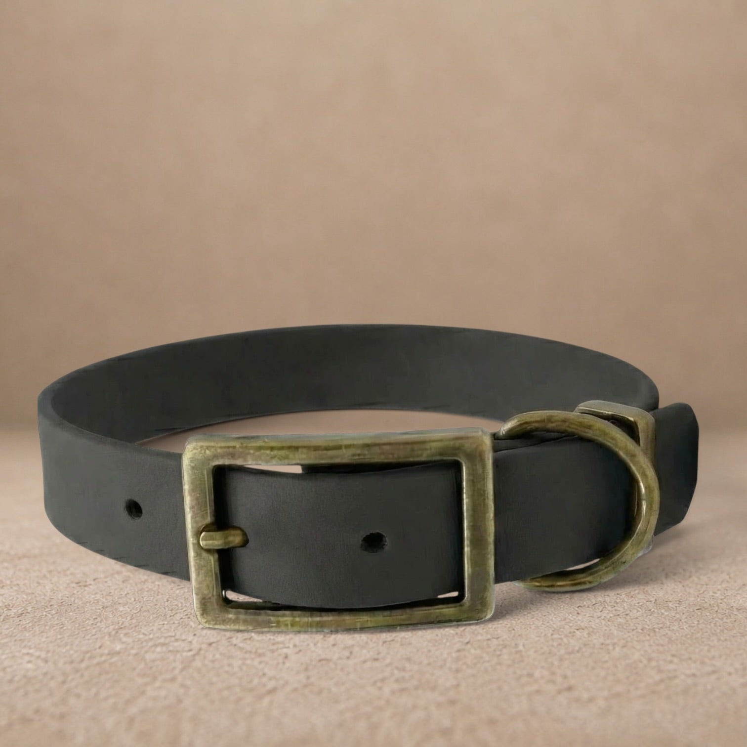 Black Waterproof Biothane Buckle Dog Collar