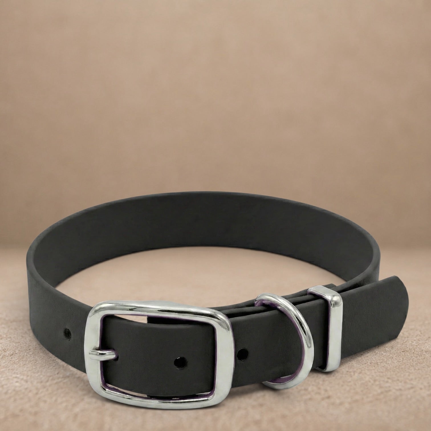 Black Waterproof Biothane Buckle Dog Collar