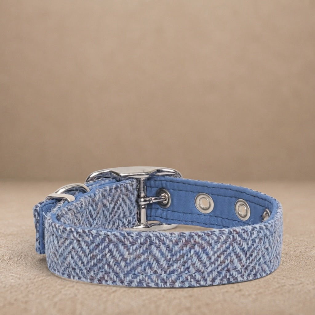 Blue Herringbone - Buckle Fastening Luxury Harris Tweed Dog Collar