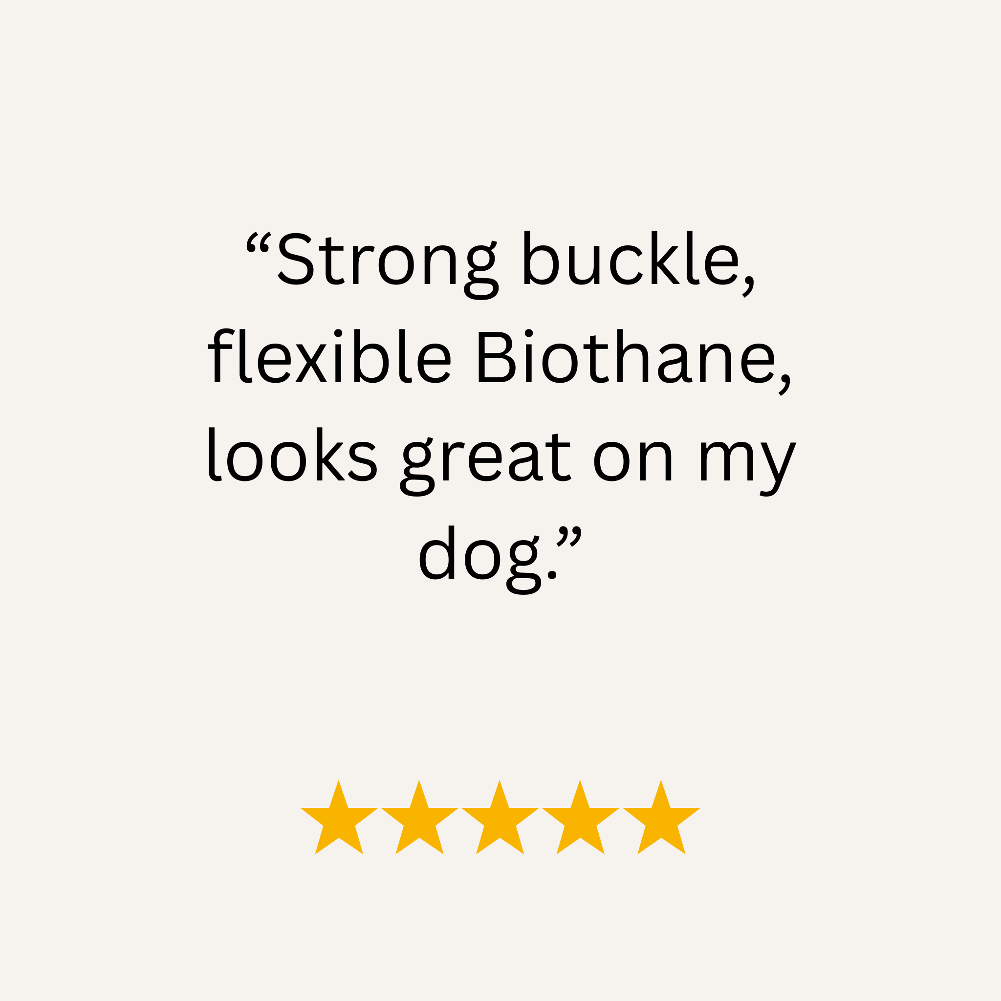 Dark Brown Waterproof Biothane Buckle Dog Collar