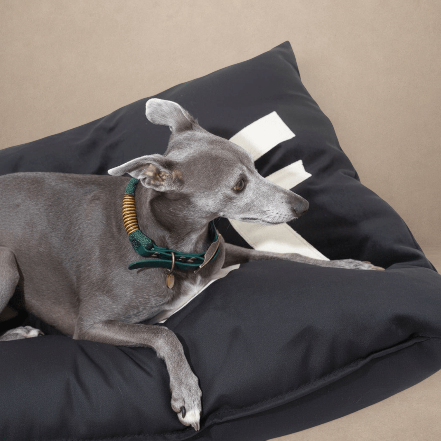 Dog Bed Big WOOF in Black Velvet