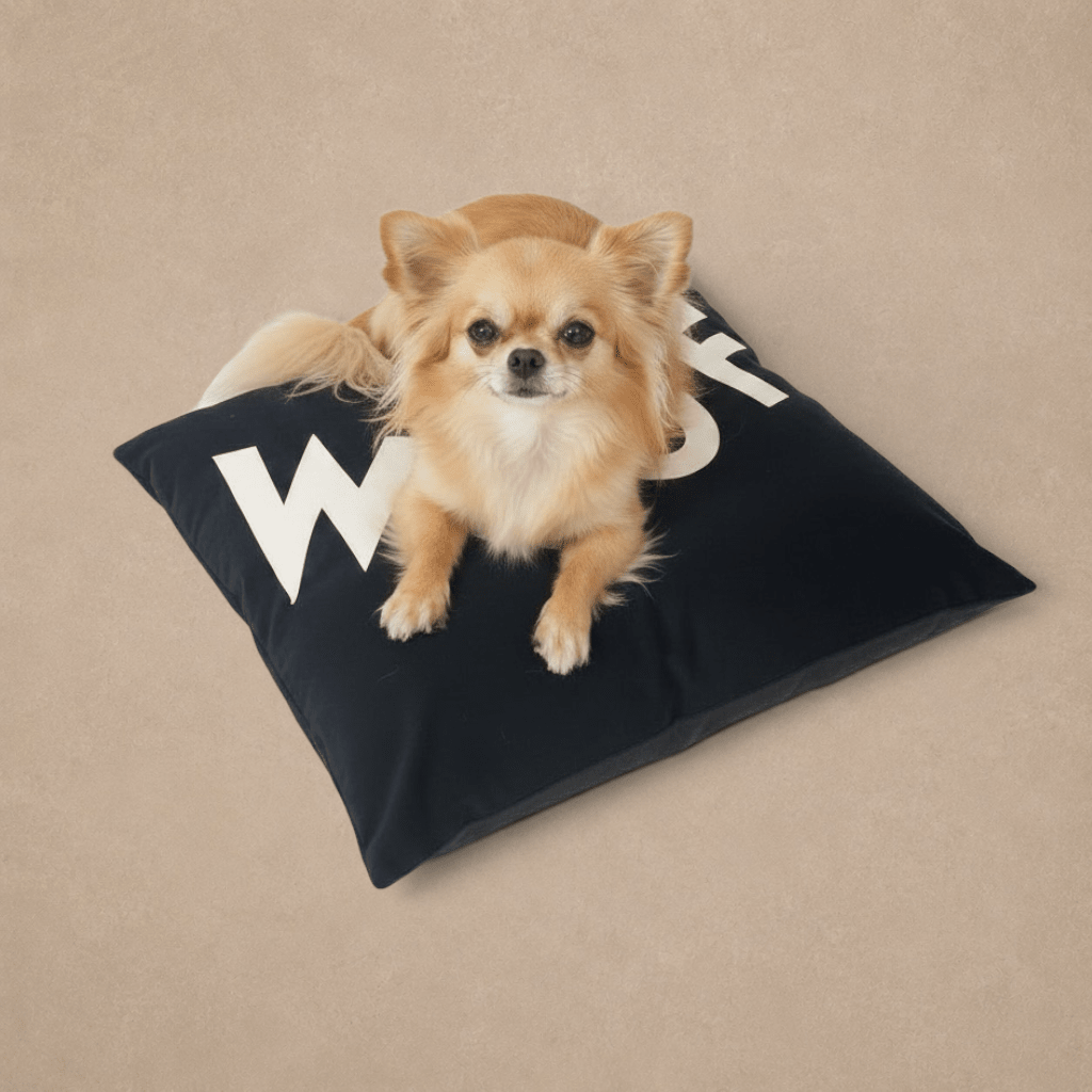 Dog Bed Big WOOF in Black Velvet