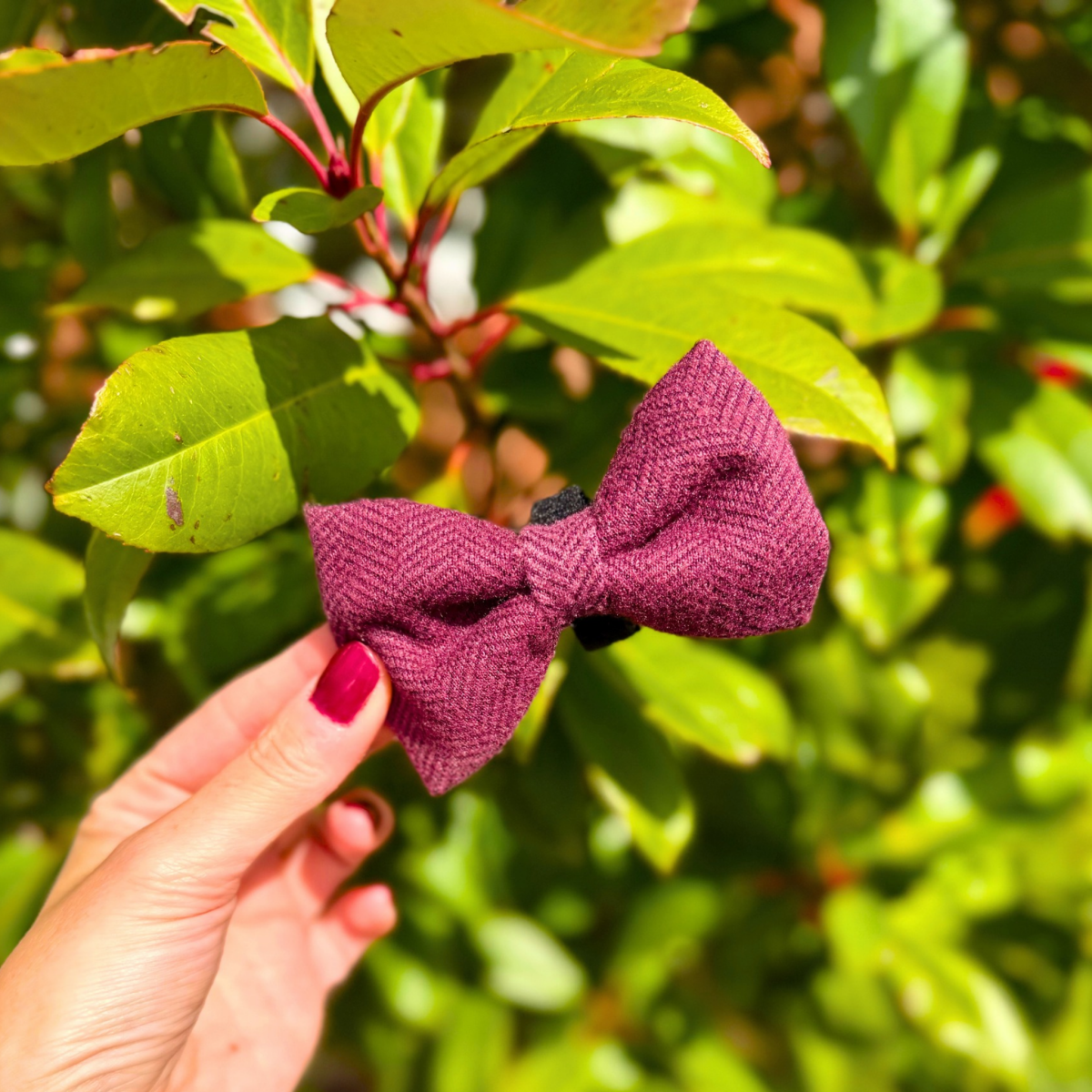 Dog Bow Tie - Berry Tweed