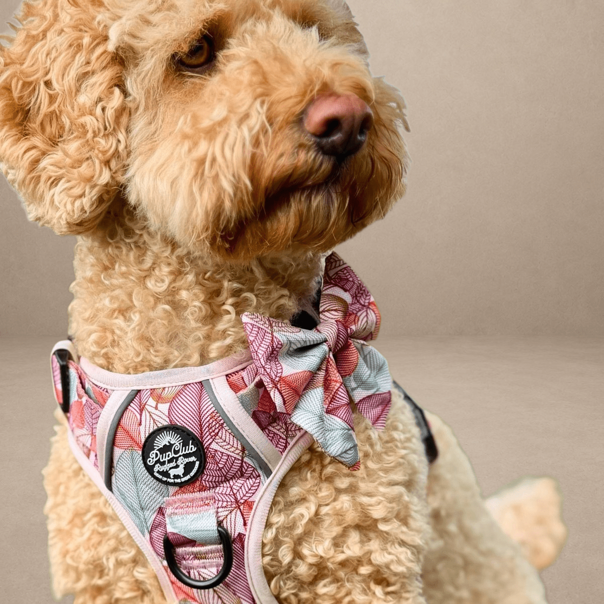 Dog Sailor Bow - Autumn Breeze