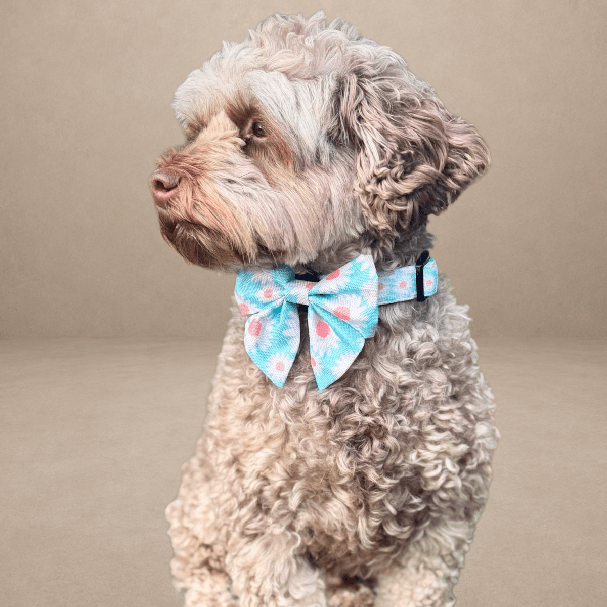Dog Sailor Bow - Pastel daisy