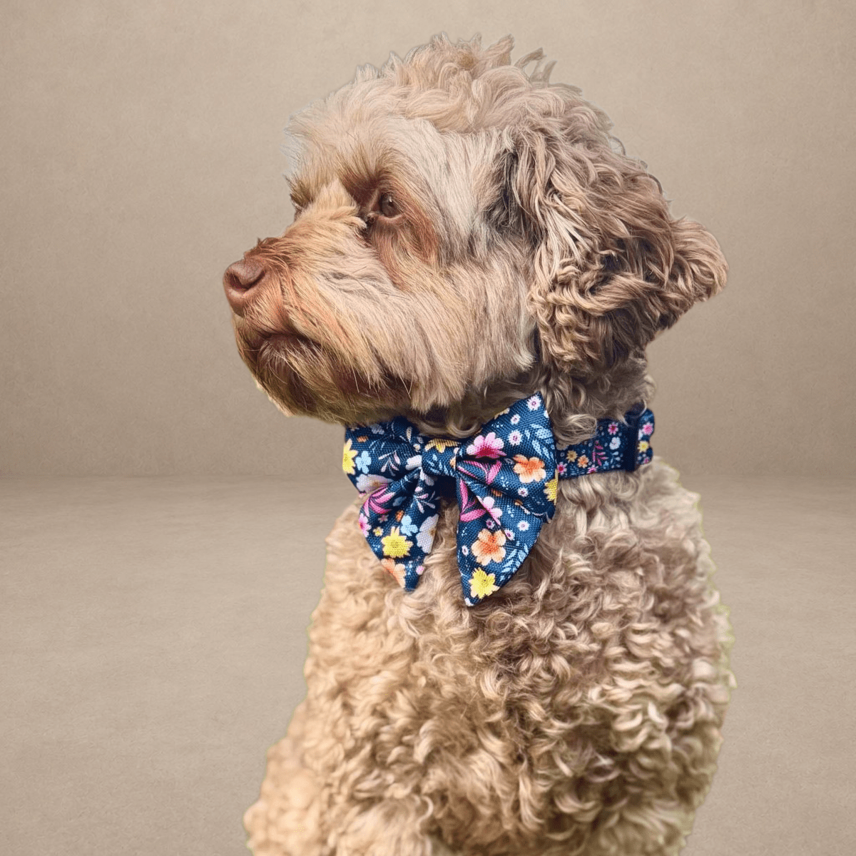 Dog Sailor Bow - Summer Meadow