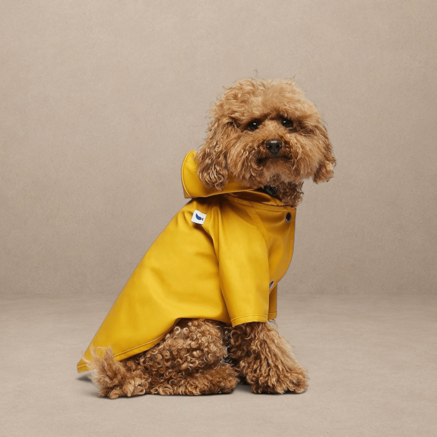 Eco-Friendly Sarah Raincoat - Recycled Ocean Plastic