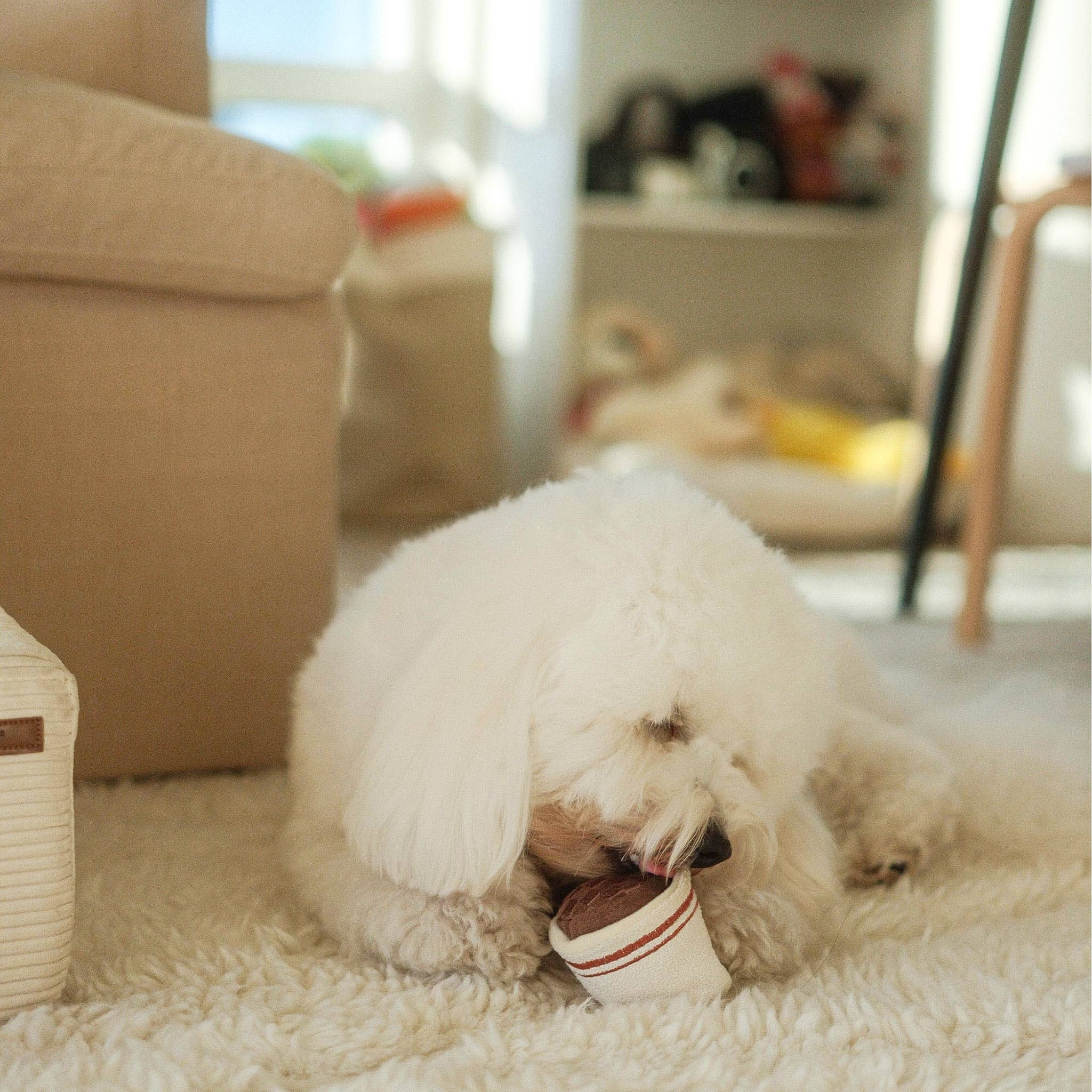Espresso Pop Enrichment Dog Toy