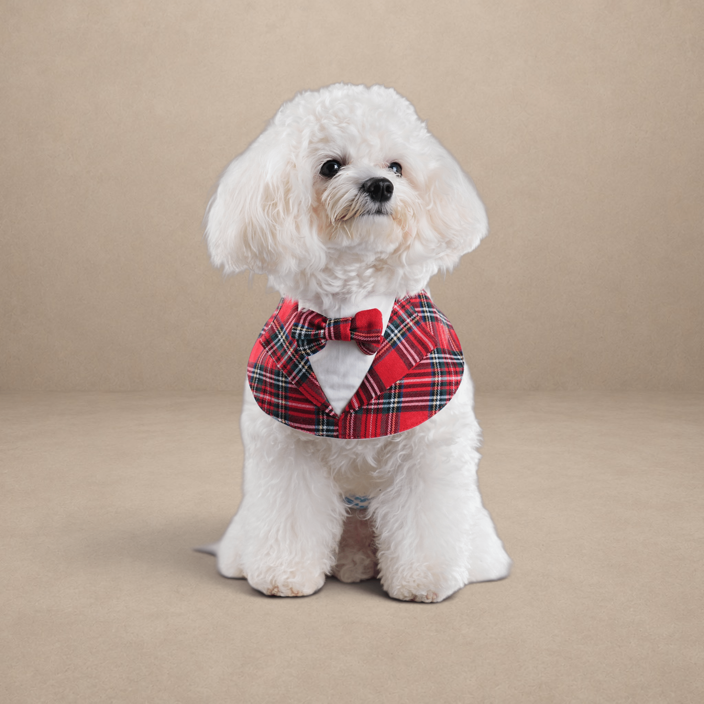 Gentleman - Duke Bandana