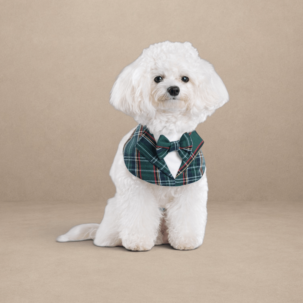 Gentleman - Earl Bandana