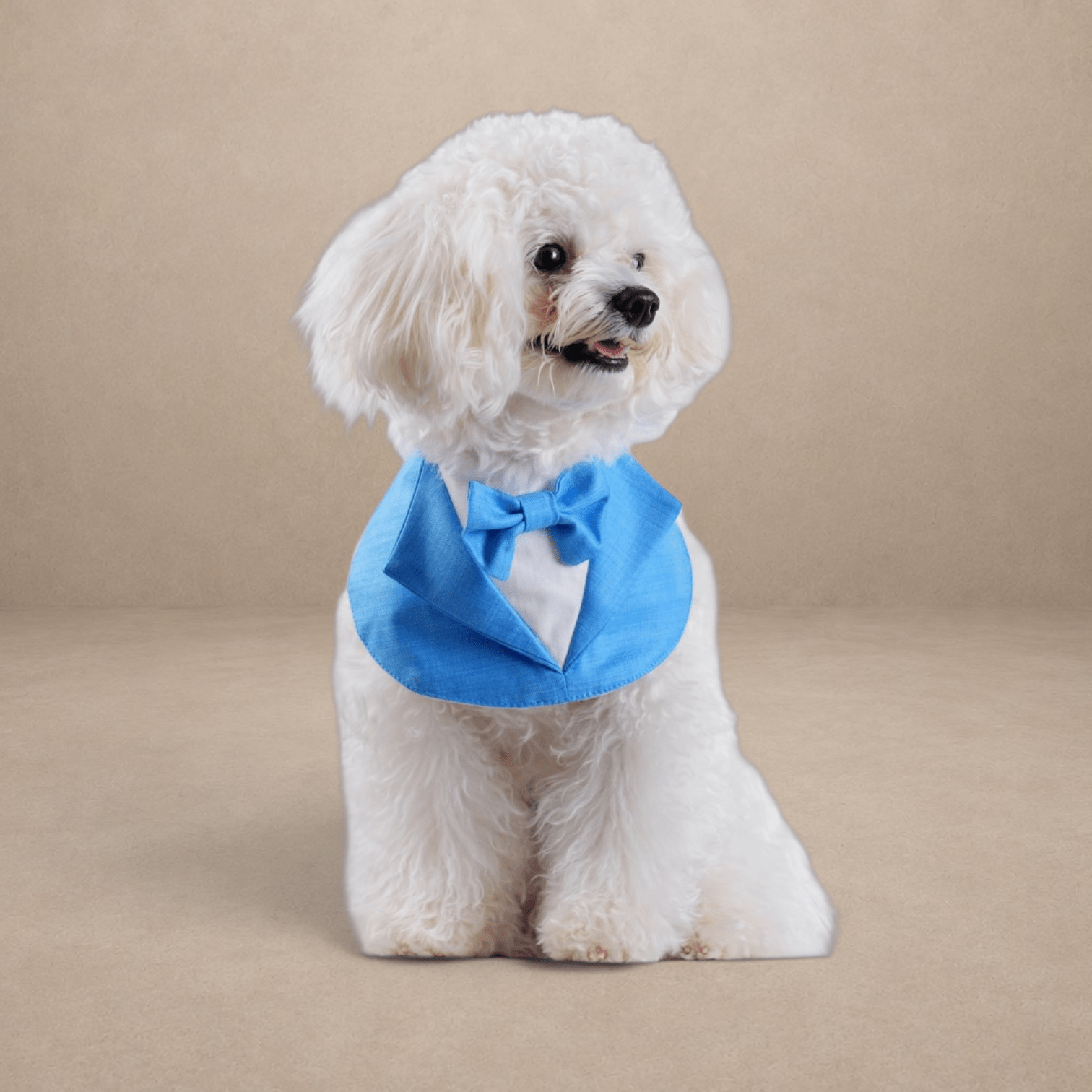 Gentleman - Willow Bandana
