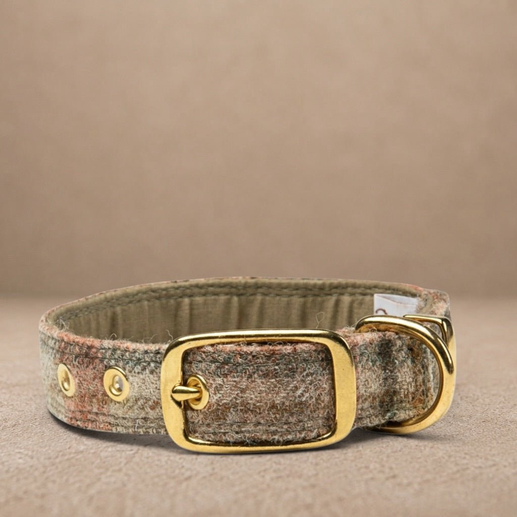 Glen Coe Terracotta - Buckle Fastening Luxury Abraham Moon Tweed Dog Collar