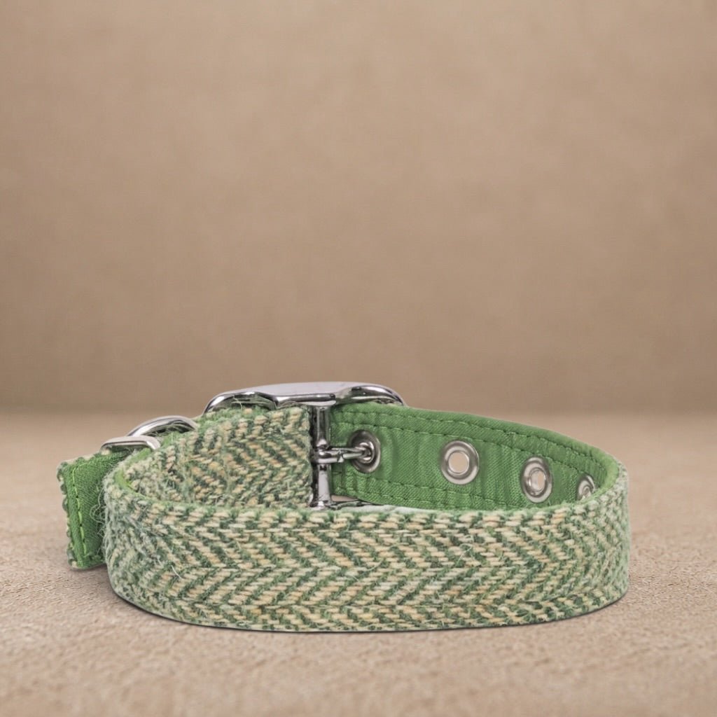 Green Herringbone - Buckle Fastening Luxury Harris Tweed Dog Collar