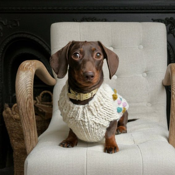 Handknitted Bobble Dog Jumper in Cream