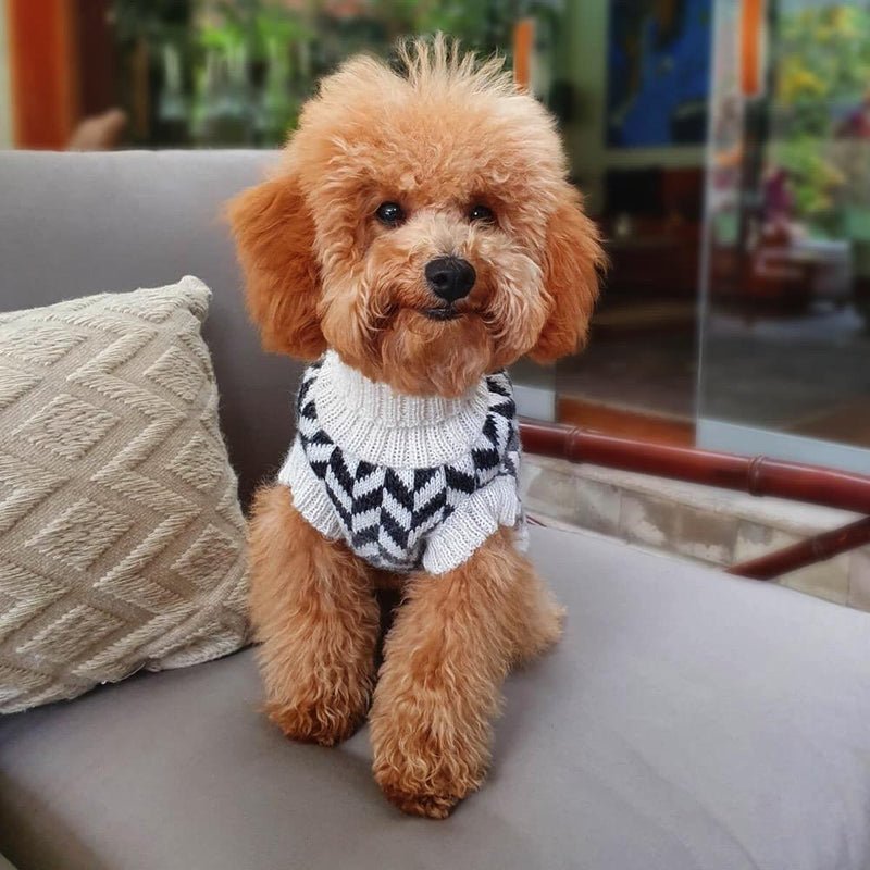"Herringbone" Handmade Alpaca Wool Dog Jumper