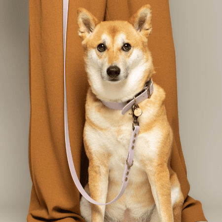 Kitsunē Multiposition dog leash - BioThane®