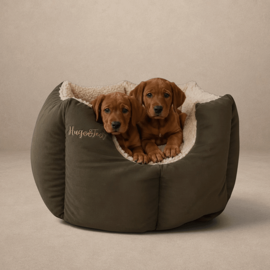 Large Waterproof Rainfleece Fortress Dog Bed - Ready Made