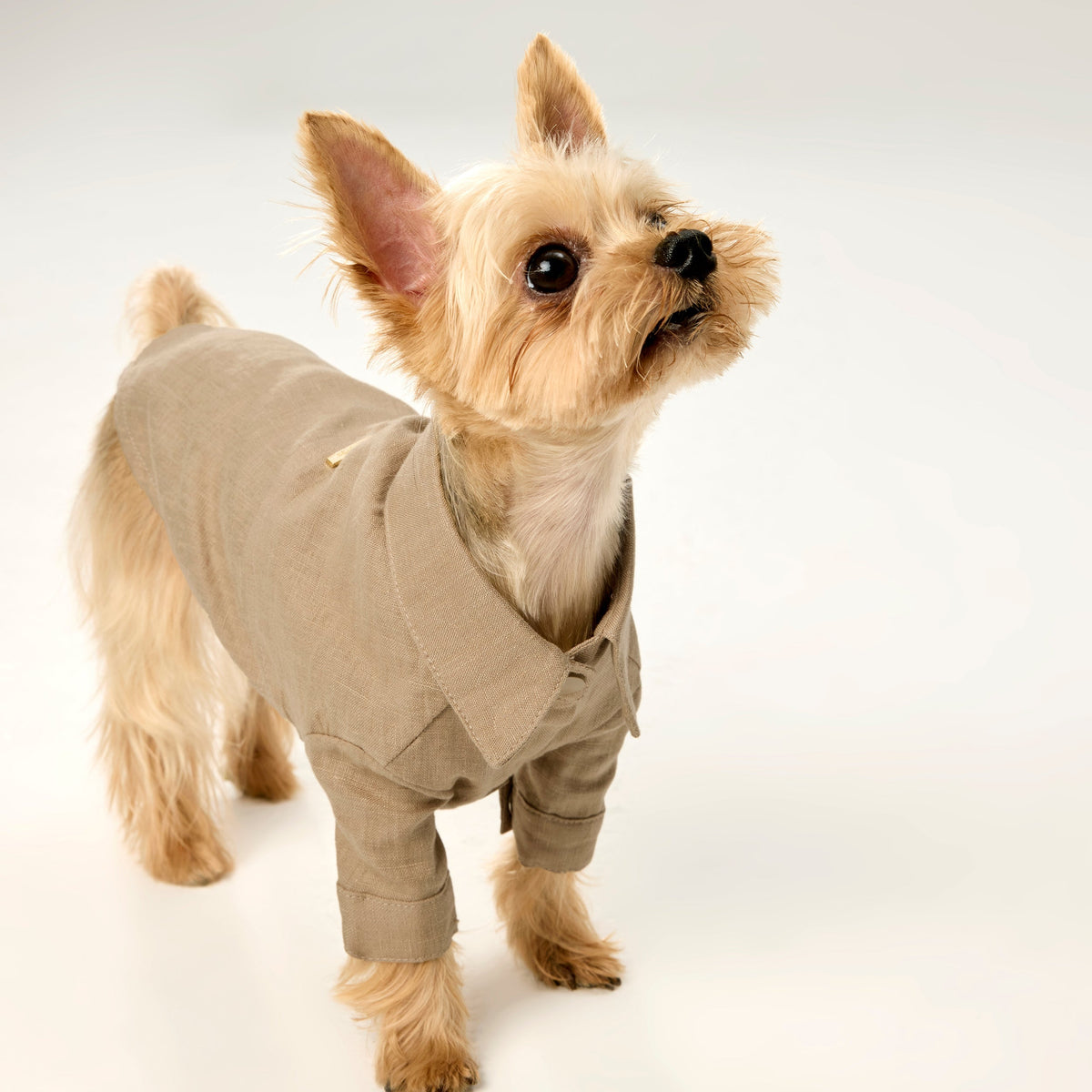 Linen Shirt