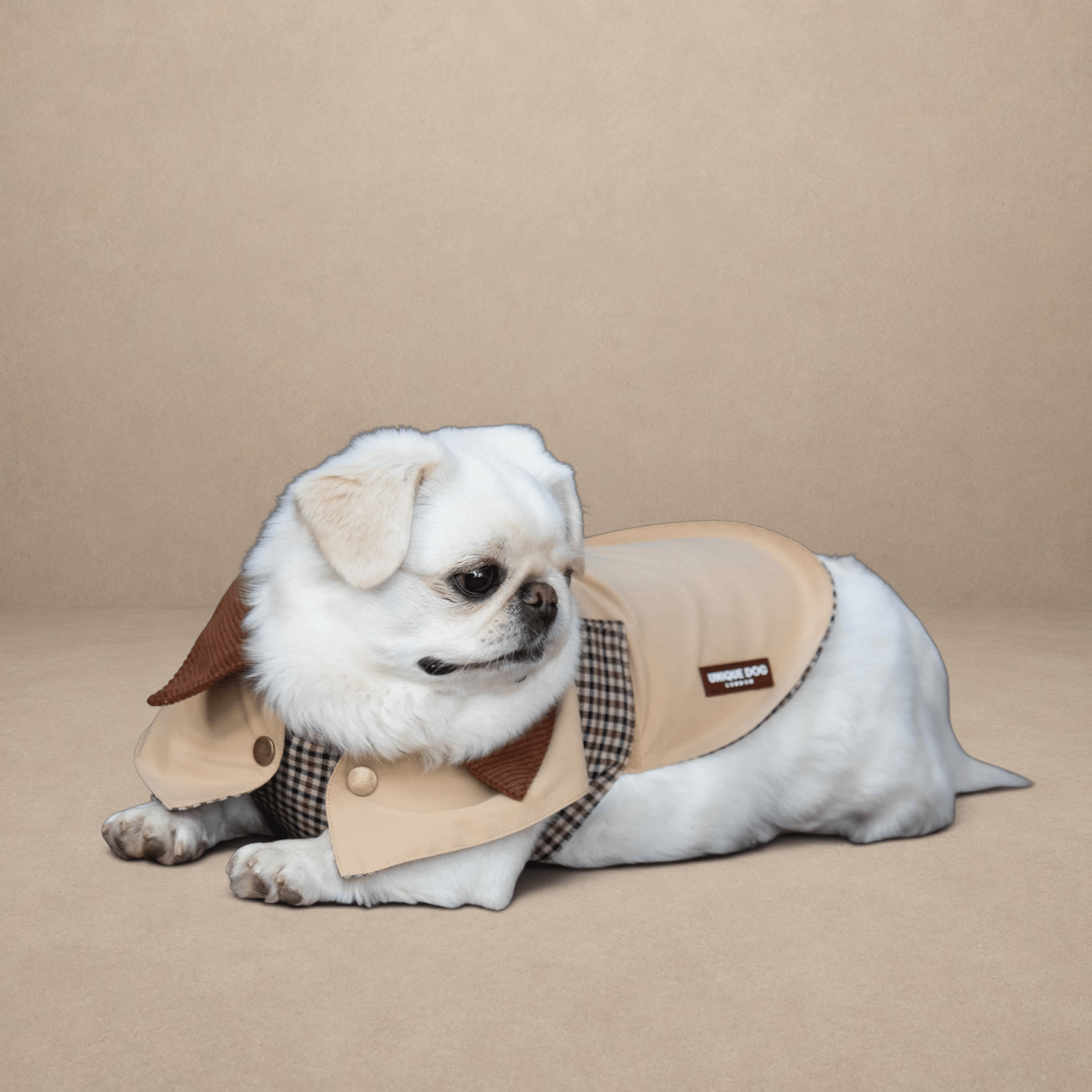 London Tailoring - The Barrister Coat