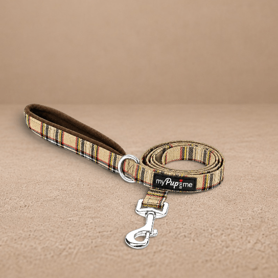 Luxury Brown Tartan Lead by My Pup and Me