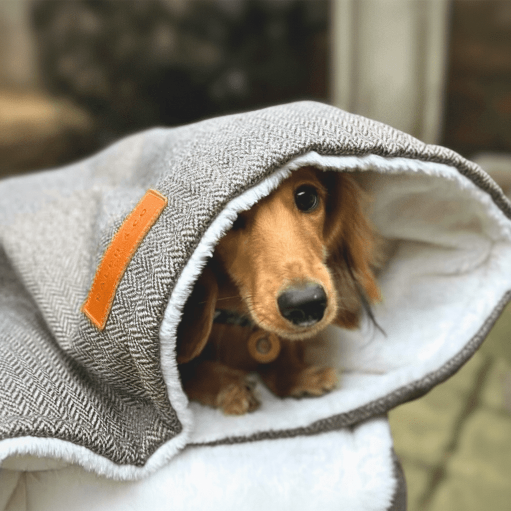 Luxury Washable Tweed Dog Blanket | Lincoln