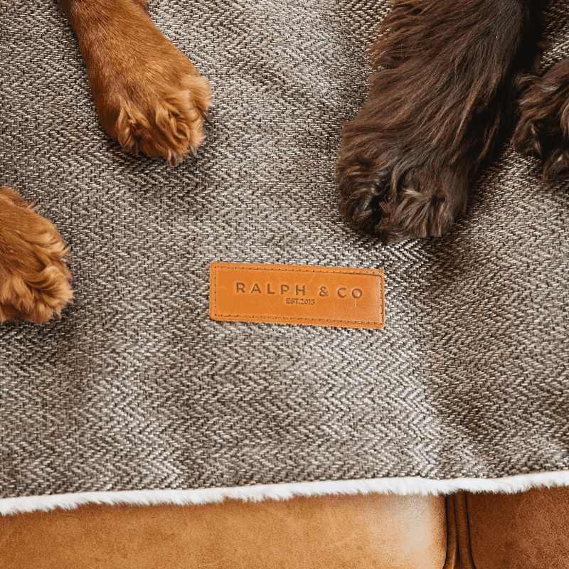 Luxury Washable Tweed Dog Blanket | Lincoln