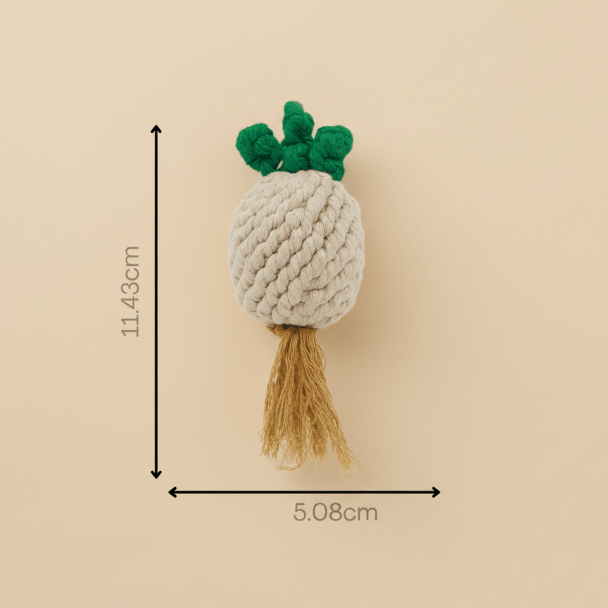 MarketVeg Rope Toys