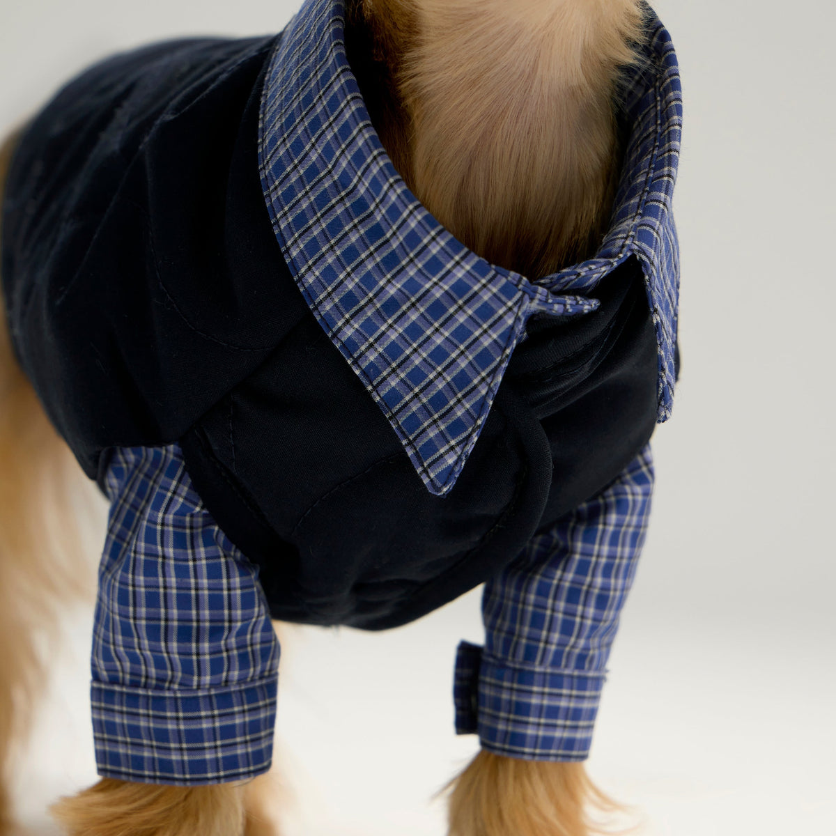 Plaid Shirt