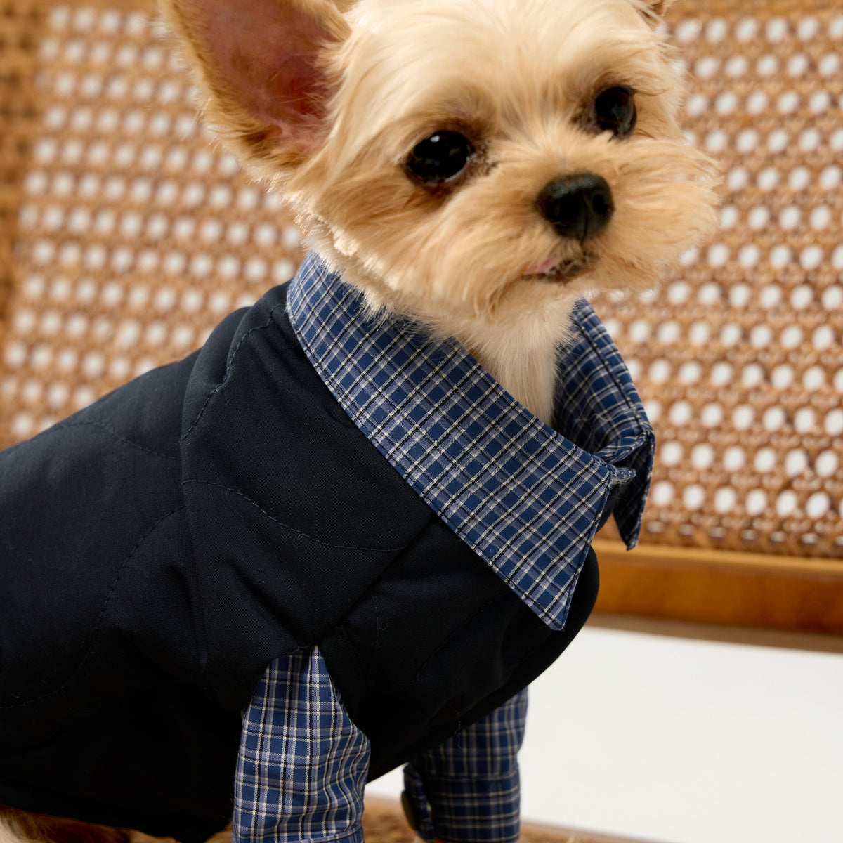 Plaid Shirt