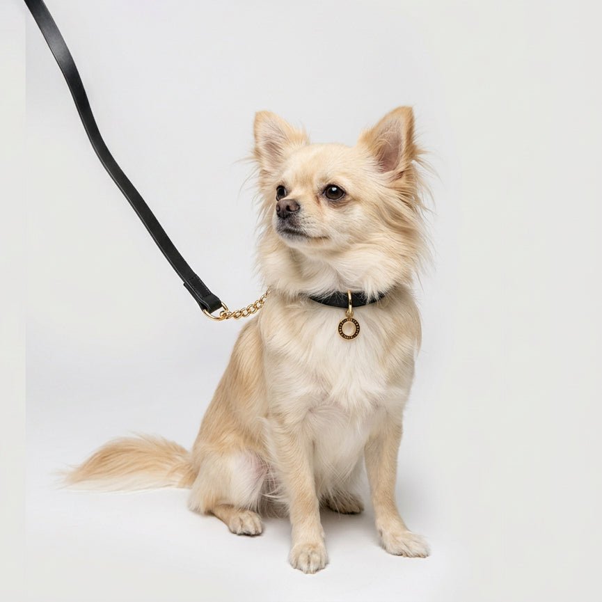 Premium Leather Collar