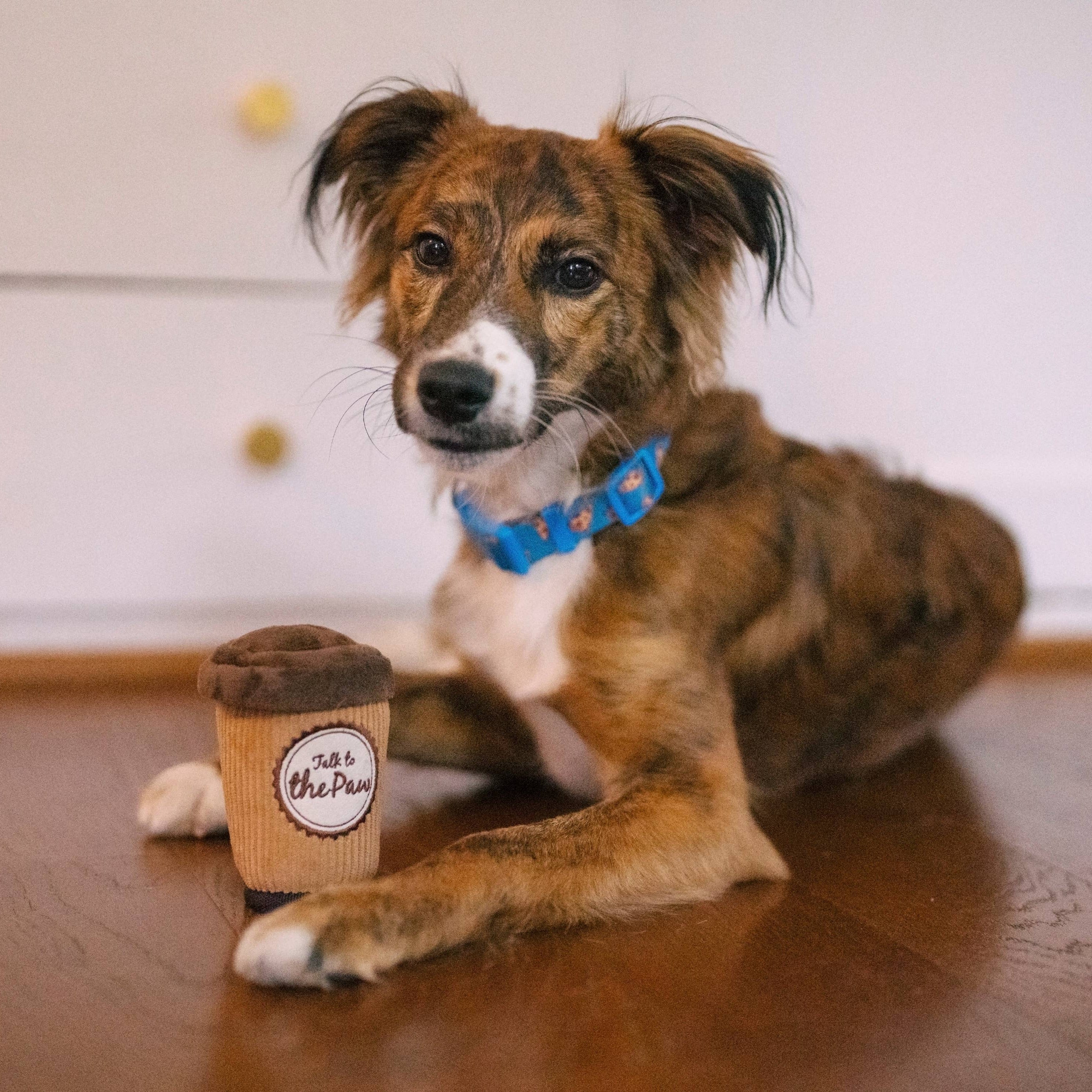 Pup Cup Cafe Doggo's Java