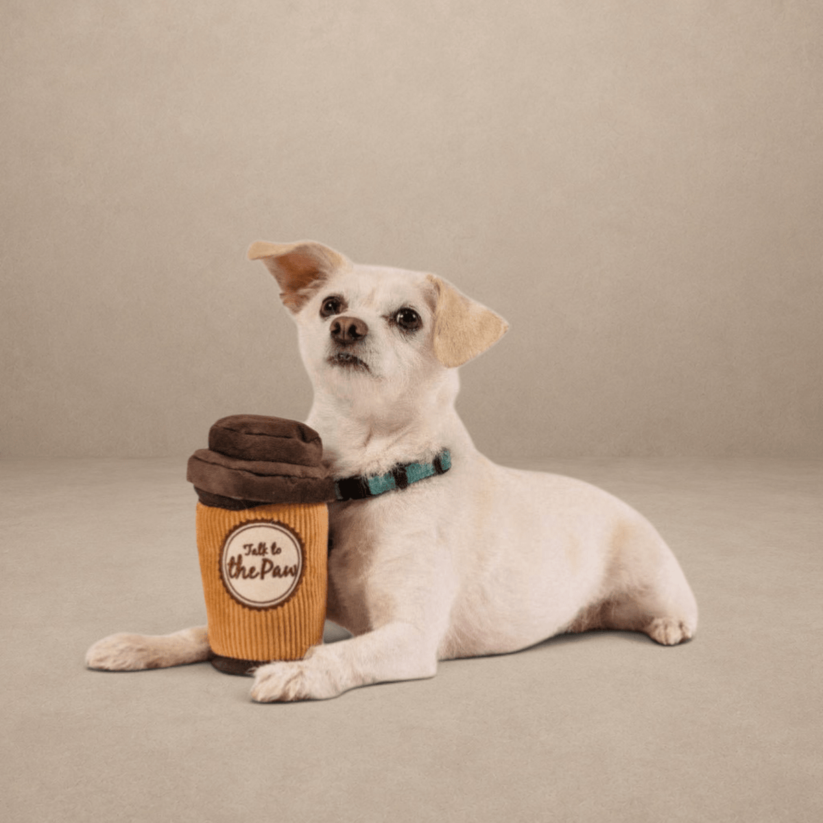 Pup Cup Cafe Doggo's Java