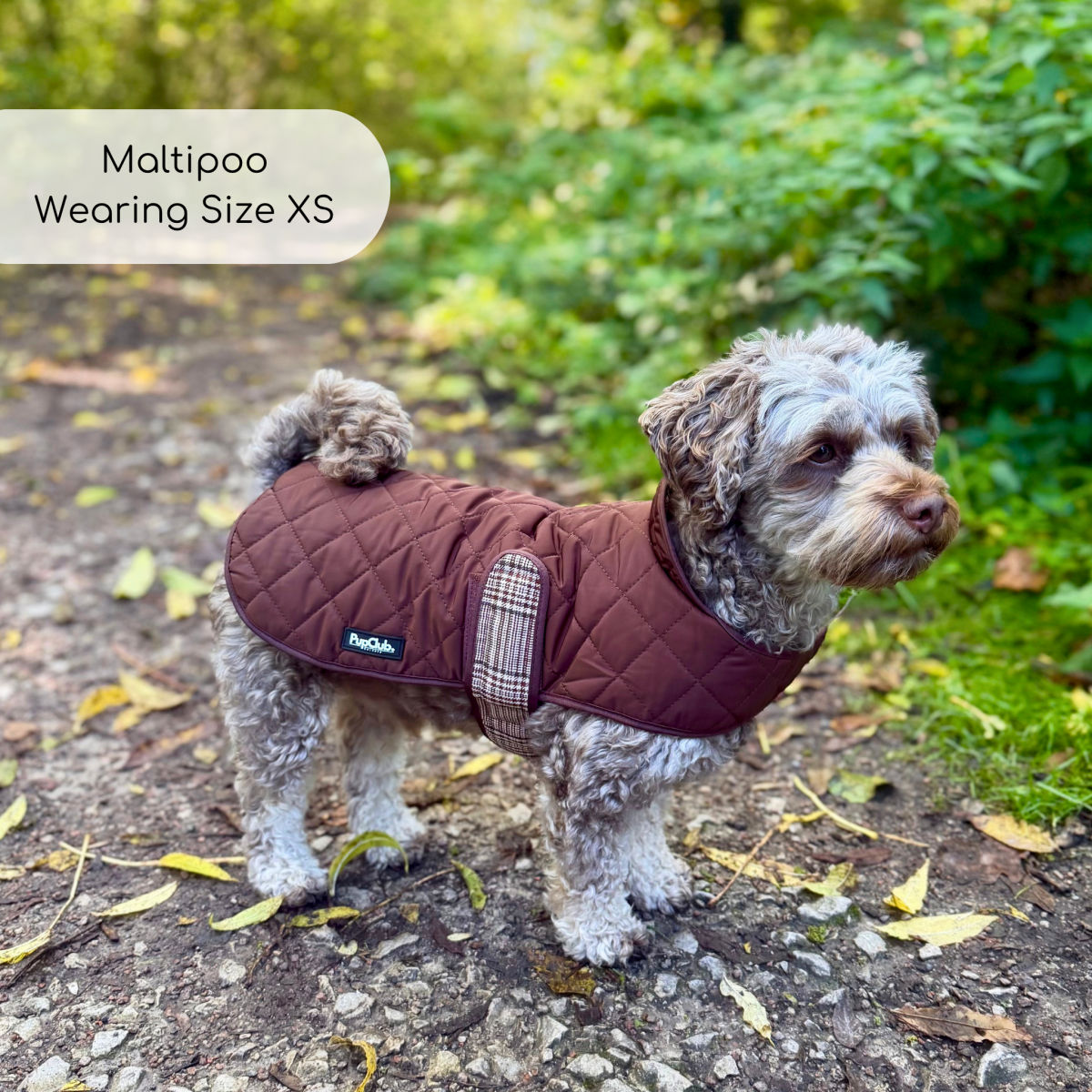 Quilted Dog Coat - Foxbury Plaid