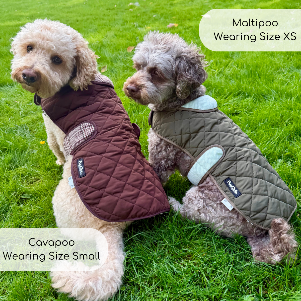 Quilted Dog Coat - Foxbury Plaid