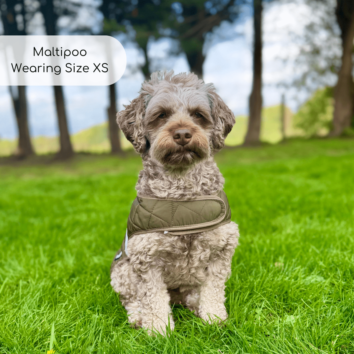 Quilted Dog Coat - Khaki Tweed